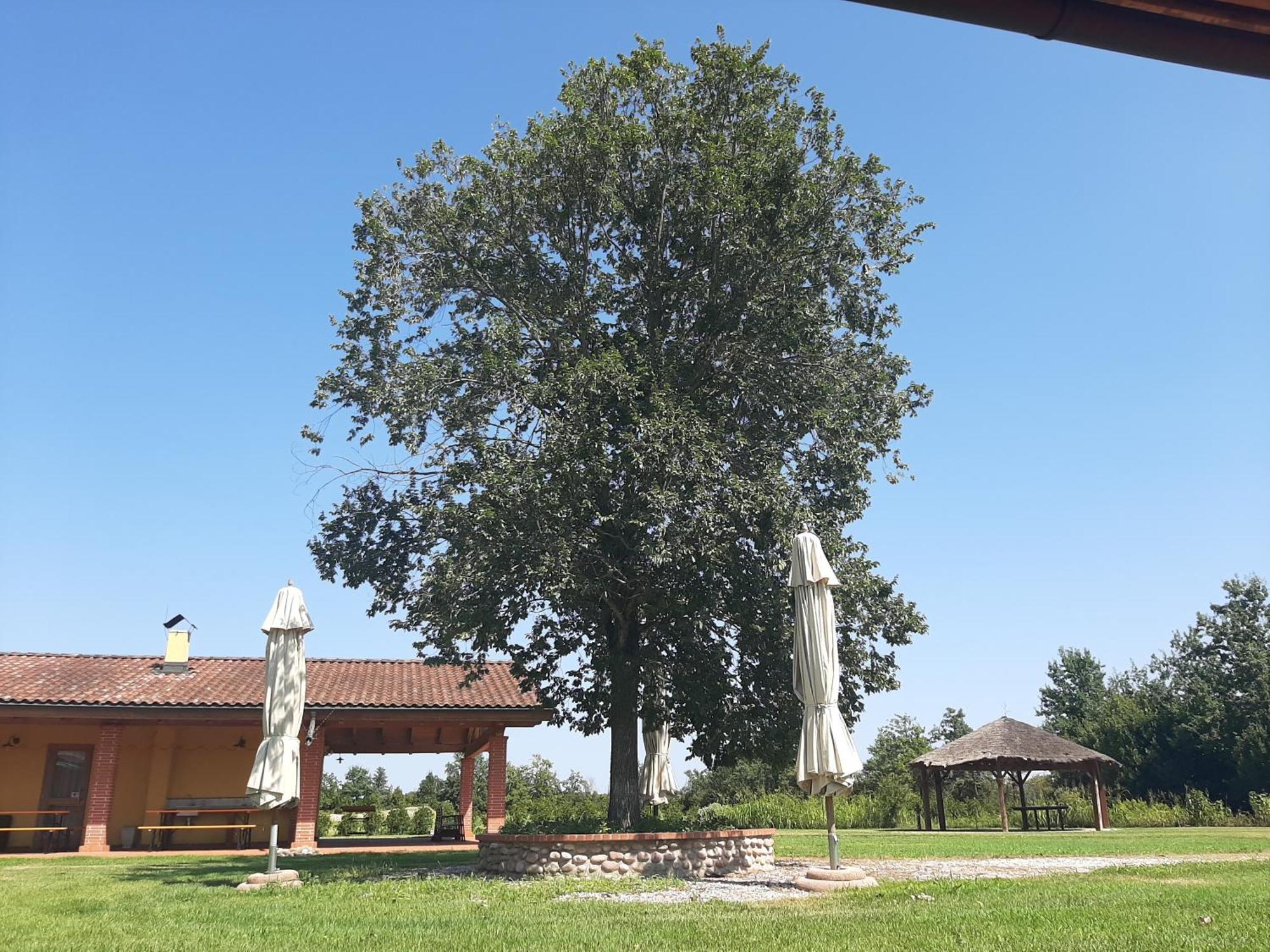 Corte All'olmo Bauernhof